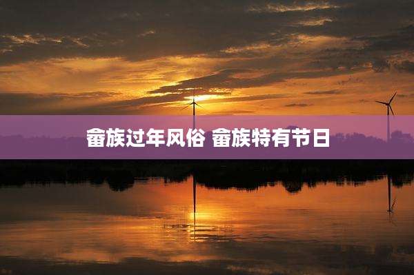 畲族过年风俗 畲族特有节日