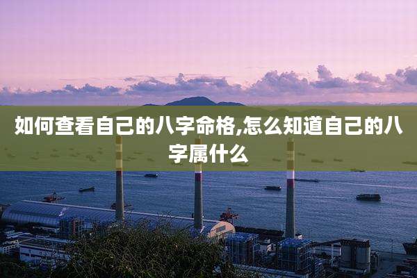如何查看自己的八字命格,怎么知道自己的八字属什么