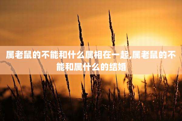 属老鼠的不能和什么属相在一起,属老鼠的不能和属什么的结婚