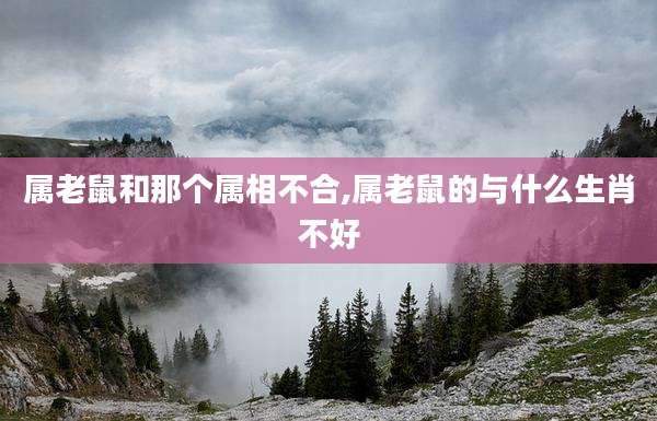 属老鼠和那个属相不合,属老鼠的与什么生肖不好