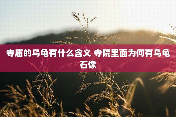 寺庙的乌龟有什么含义 寺院里面为何有乌龟石像