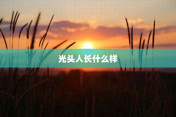 光头人长什么样