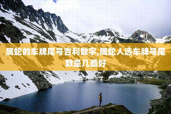 属蛇的车牌尾号吉利数字,属蛇人选车牌号尾数是几最好