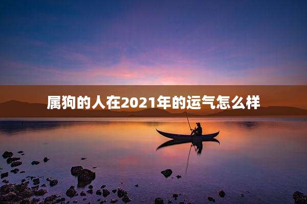 属狗的人在2021年的运气怎么样