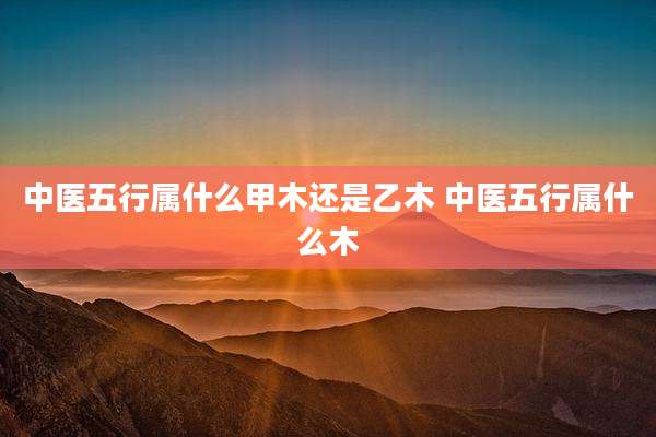 中医五行属什么甲木还是乙木 中医五行属什么木