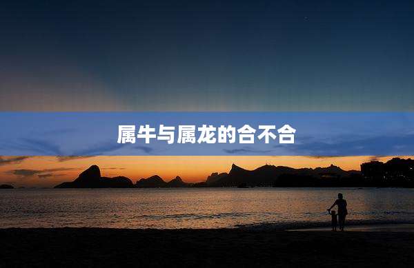 属牛与属龙的合不合
