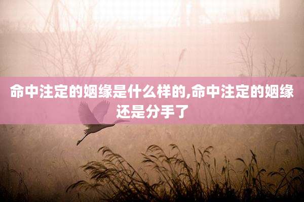命中注定的姻缘是什么样的,命中注定的姻缘还是分手了