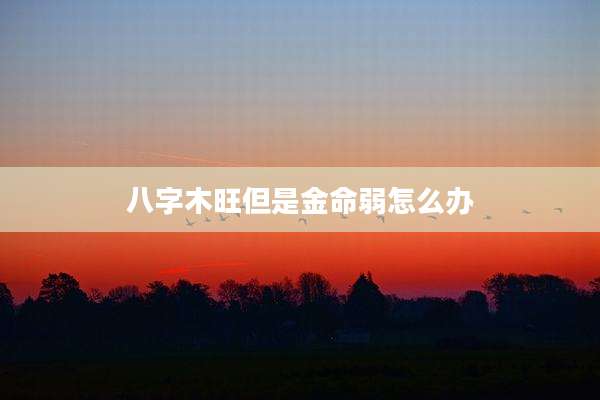 八字木旺但是金命弱怎么办
