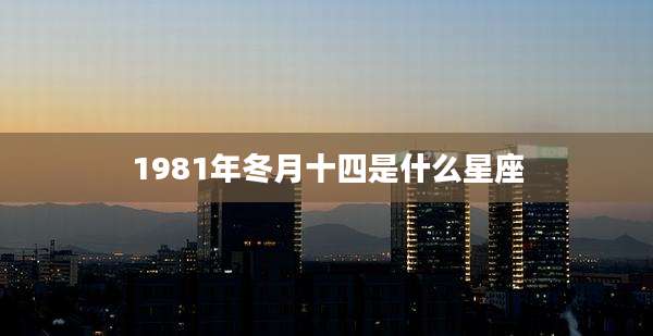 1981年冬月十四是什么星座