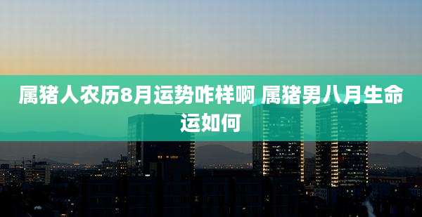 属猪人农历8月运势咋样啊 属猪男八月生命运如何