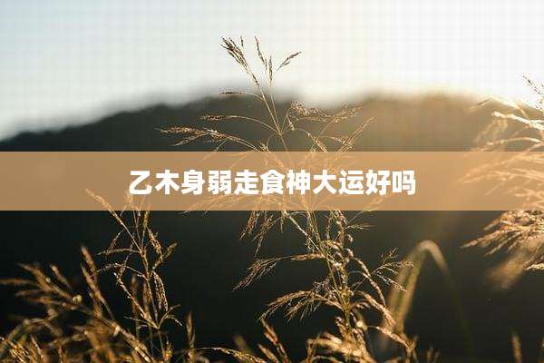 乙木身弱走食神大运好吗
