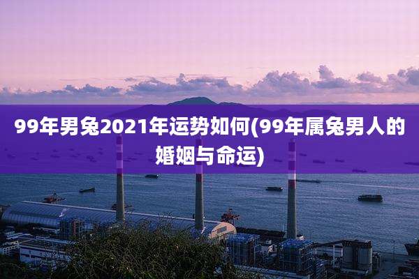 99年男兔2021年运势如何(99年属兔男人的婚姻与命运)