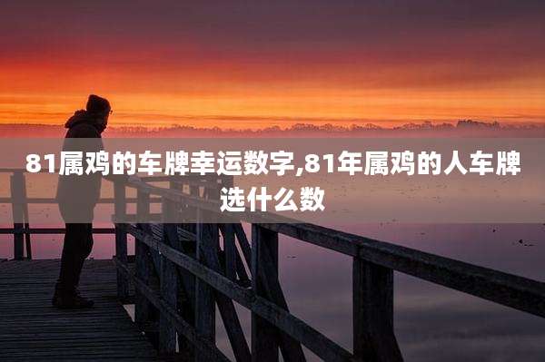 81属鸡的车牌幸运数字,81年属鸡的人车牌选什么数