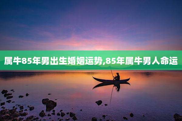 属牛85年男出生婚姻运势,85年属牛男人命运