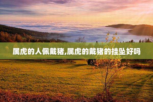 属虎的人佩戴猪,属虎的戴猪的挂坠好吗
