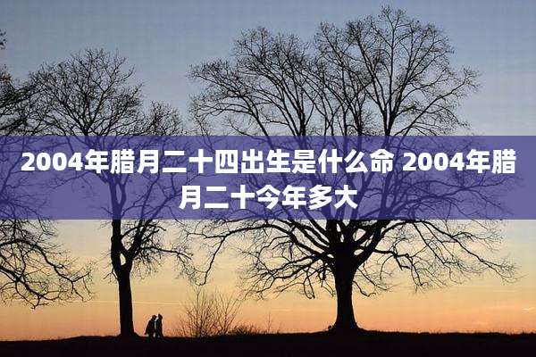 2004年腊月二十四出生是什么命 2004年腊月二十今年多大