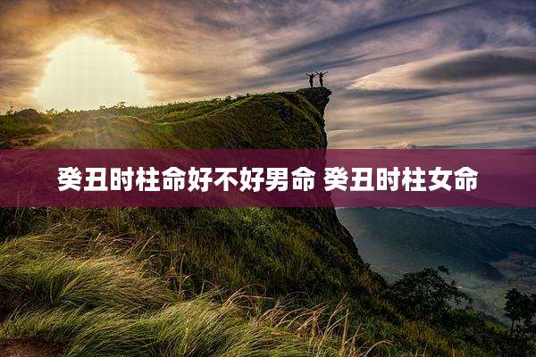 癸丑时柱命好不好男命 癸丑时柱女命
