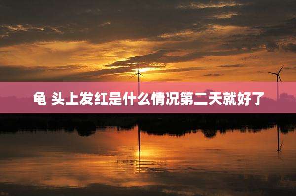 龟 头上发红是什么情况第二天就好了