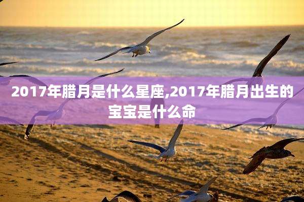 2017年腊月是什么星座,2017年腊月出生的宝宝是什么命