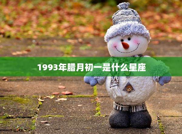 1993年腊月初一是什么星座