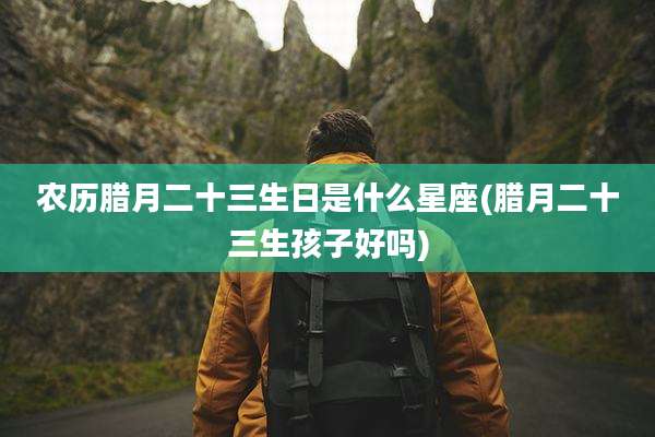 农历腊月二十三生日是什么星座(腊月二十三生孩子好吗)