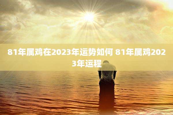 81年属鸡在2023年运势如何 81年属鸡2023年运程
