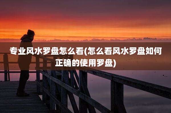 专业风水罗盘怎么看(怎么看风水罗盘如何正确的使用罗盘)