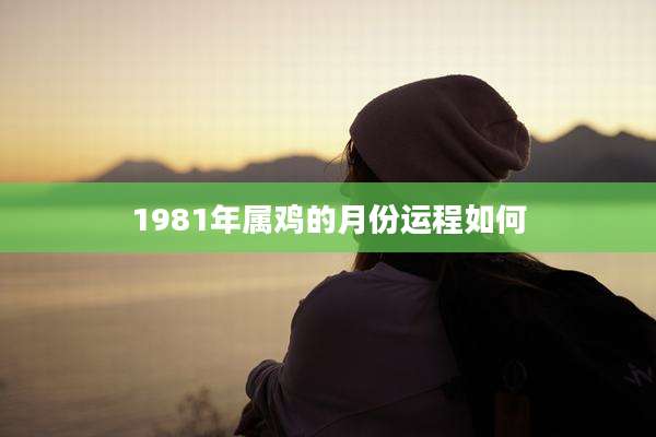 1981年属鸡的月份运程如何