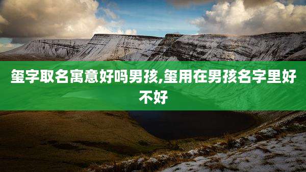 玺字取名寓意好吗男孩,玺用在男孩名字里好不好