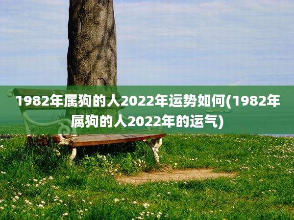 1982年属狗的人2022年运势如何(1982年属狗的人2022年的运气)
