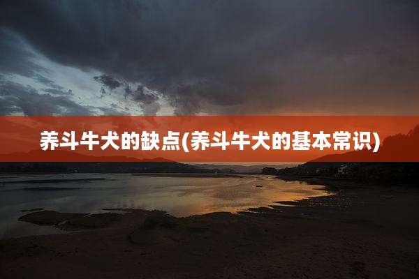养斗牛犬的缺点(养斗牛犬的基本常识)