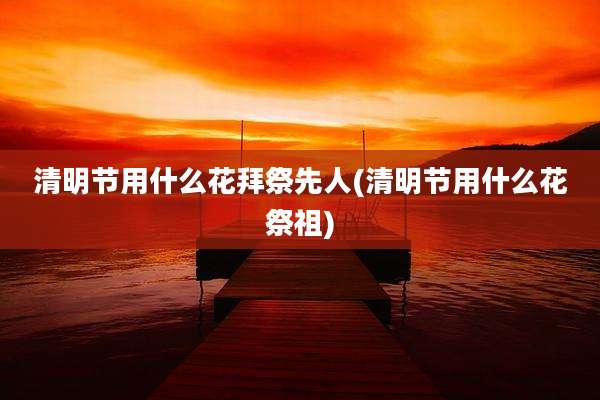 清明节用什么花拜祭先人(清明节用什么花祭祖)