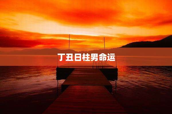 丁丑日柱男命运