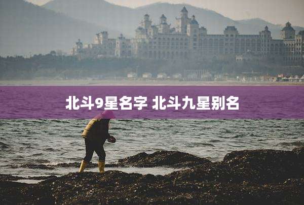 北斗9星名字 北斗九星别名