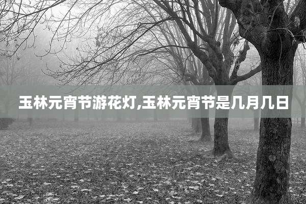 玉林元宵节游花灯,玉林元宵节是几月几日