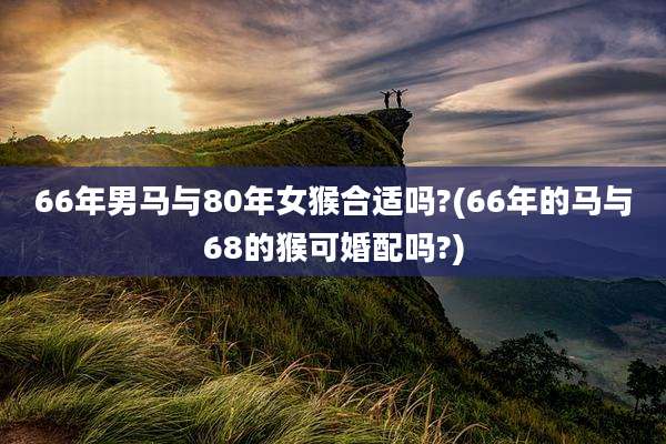 66年男马与80年女猴合适吗?(66年的马与68的猴可婚配吗?)