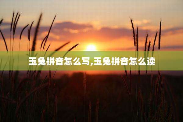 玉兔拼音怎么写,玉兔拼音怎么读