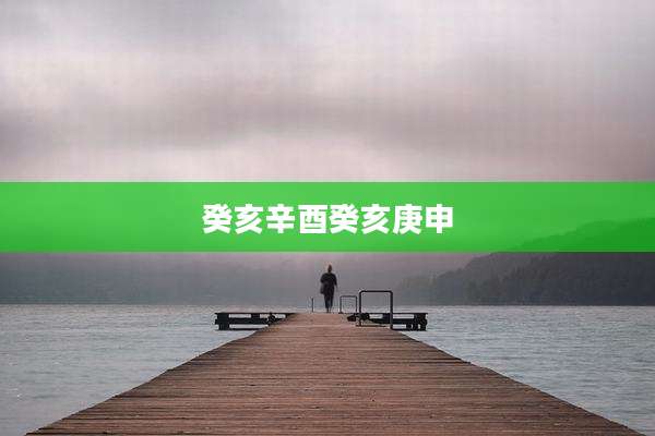 癸亥辛酉癸亥庚申