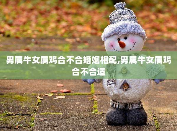 男属牛女属鸡合不合婚姻相配,男属牛女属鸡合不合适