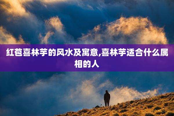 红苞喜林芋的风水及寓意,喜林芋适合什么属相的人