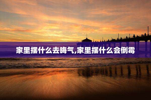 家里摆什么去晦气,家里摆什么会倒霉