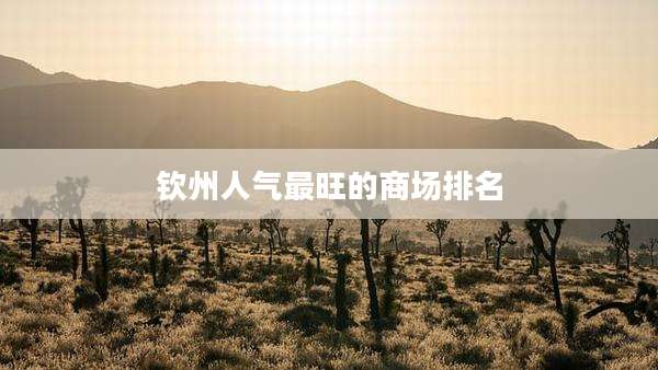 钦州人气最旺的商场排名