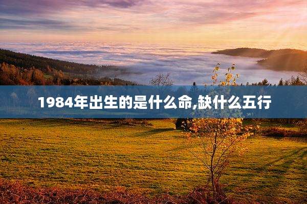 1984年出生的是什么命,缺什么五行