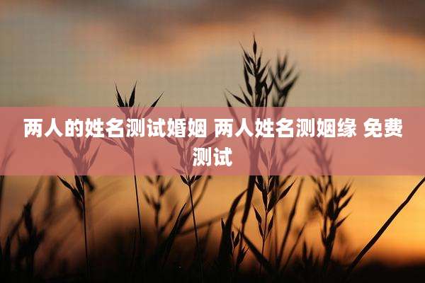两人的姓名测试婚姻 两人姓名测姻缘 免费测试