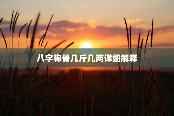 八字称骨几斤几两详细解释
