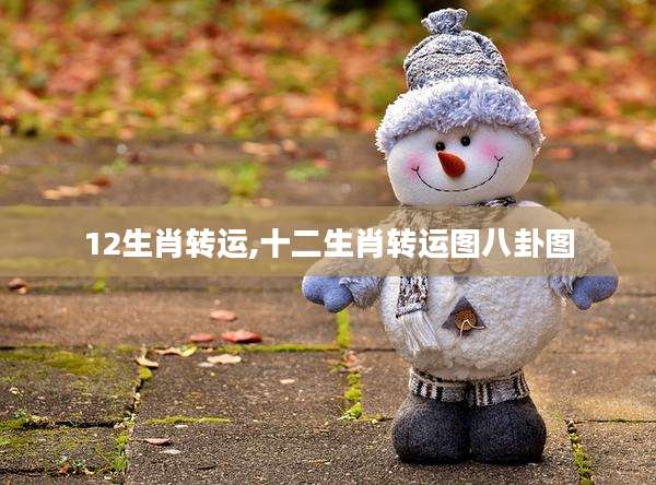 12生肖转运,十二生肖转运图八卦图