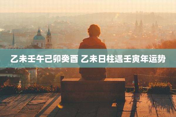乙未壬午己卯癸酉 乙未日柱遇壬寅年运势