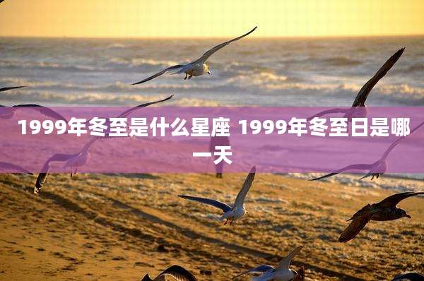 1999年冬至是什么星座 1999年冬至日是哪一天