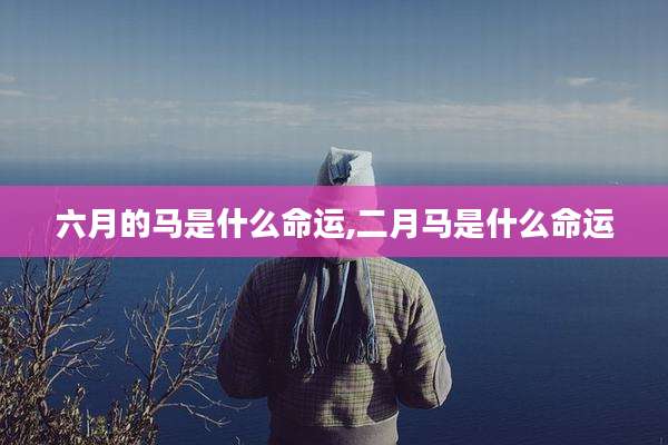 六月的马是什么命运,二月马是什么命运