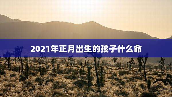 2021年正月出生的孩子什么命